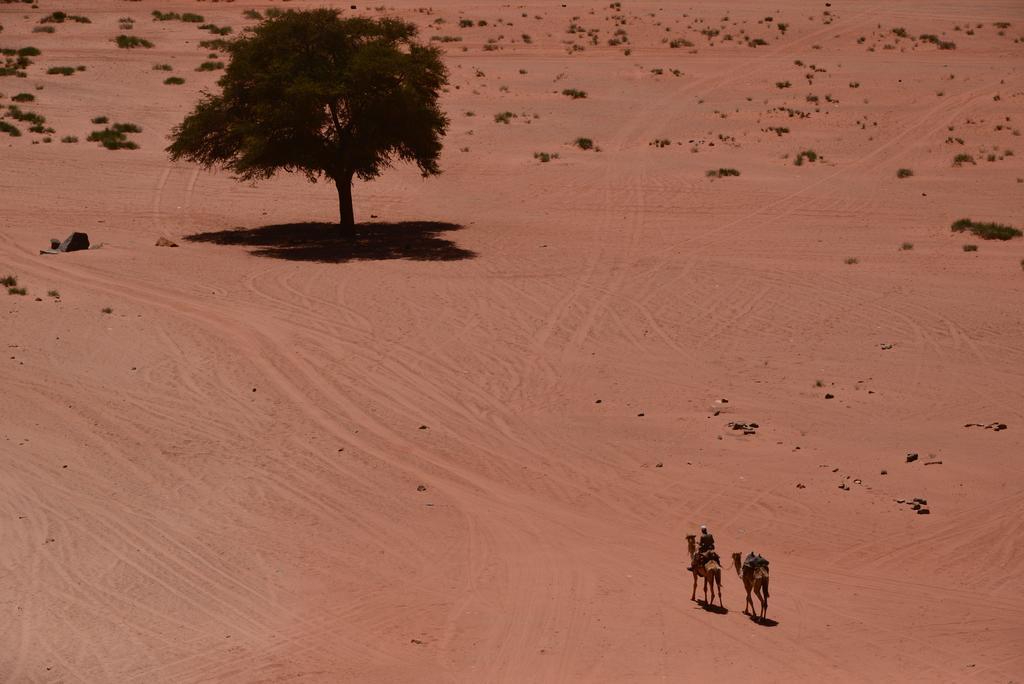 Wadi Rum Sleep Under The Stars المظهر الخارجي الصورة